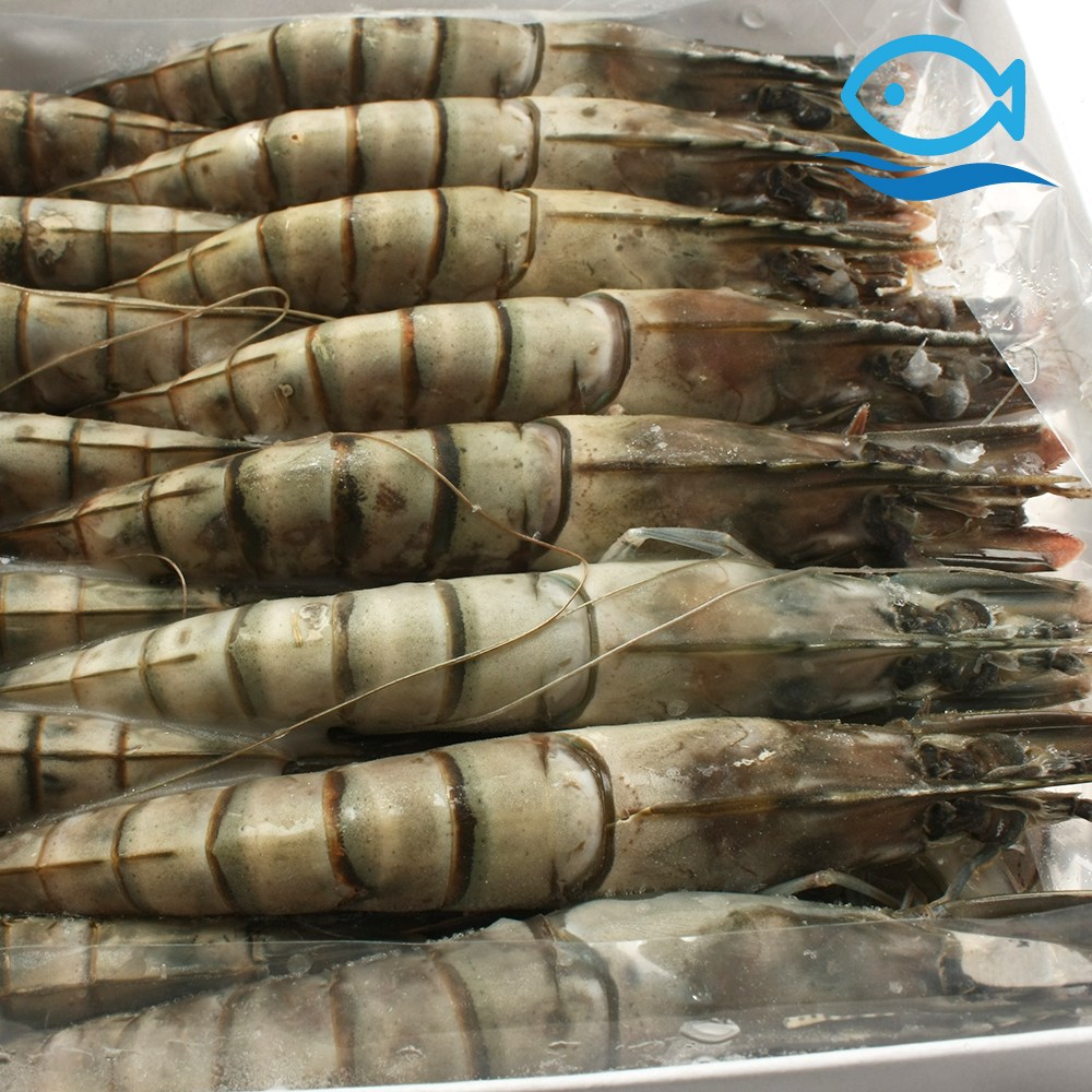 바다더해 블랙타이거새우 15미 500g 냉동 왕 새우 소금구이 캠핑용 구이용, 1개, 500g 14,600원