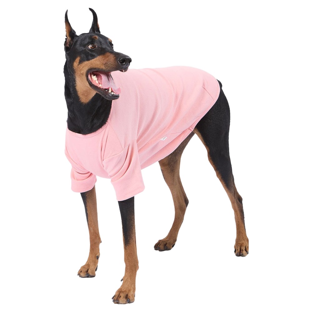 럭키페터 강아지 베이직 티셔츠, 1개, 베이직핑크 19,900원