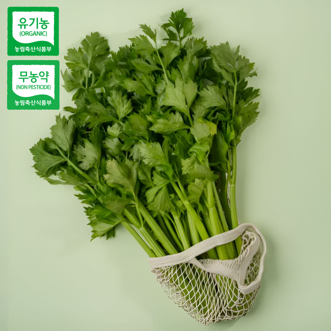 국산 유기농 샐러리 셀러리 특품 산지직송 무농약 친환경, 1박스, 2kg 14,500원