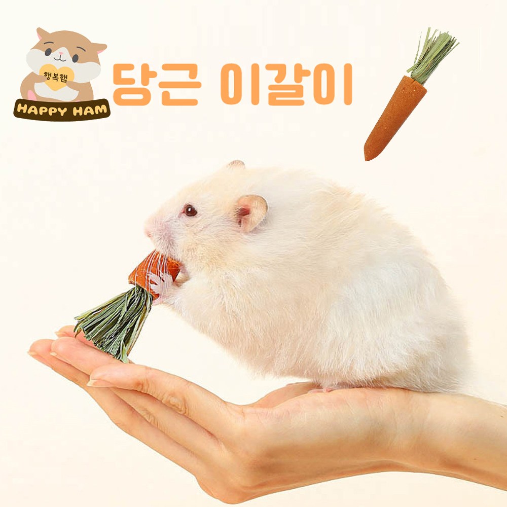행복햄 피그미다람쥐 햄스터 당근 이갈이 4,700원