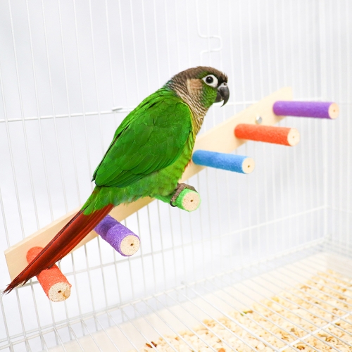 앵무새 용품 알록달록 일자형 발톱갈이 사다리 / 새 횃대 새장 사다리 놀이터 훈련 모란 왕관 코뉴어 퀘이커 4,700원