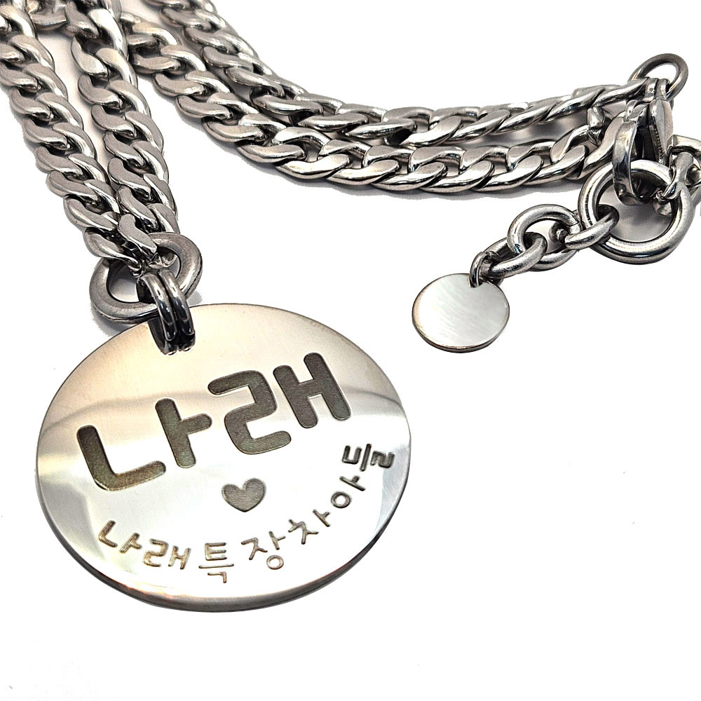 아츠플로우 써지컬 대형견 인식표 목걸이 애견 체인 이름표 18,900원