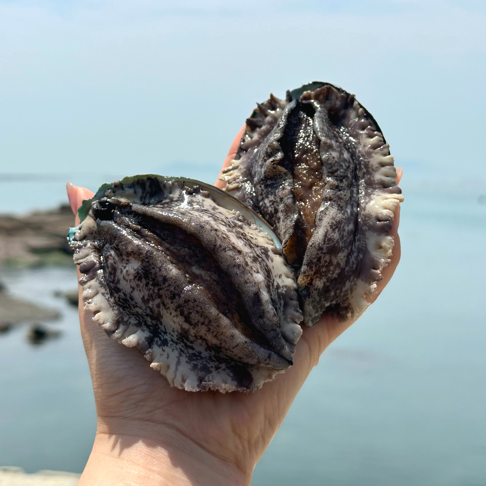 생산자직송 완도 활 전복 특대 선물세트 2kg~ 15-17마리 이바지음식 집들이 100,000원