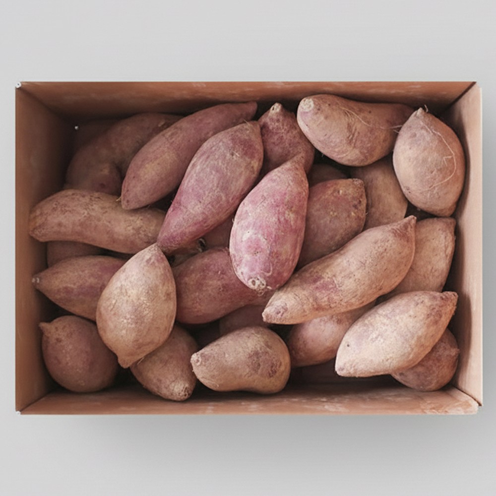 해남 고구마 프리미엄 꿀고구마 12,000원