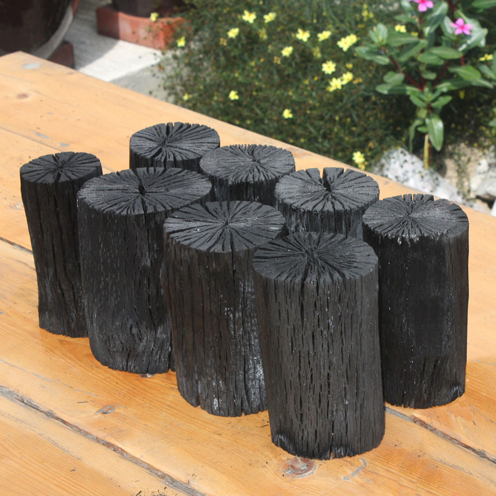 천연탈취 제습 참숯 흑탄 5kg15cm 자연공기정화 새집증후군 냄새제거 천연가습 31,000원