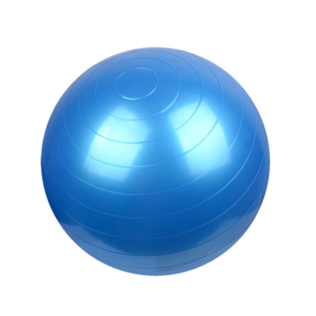 스포홀릭 짐볼 + 펌프 세트 8,130원