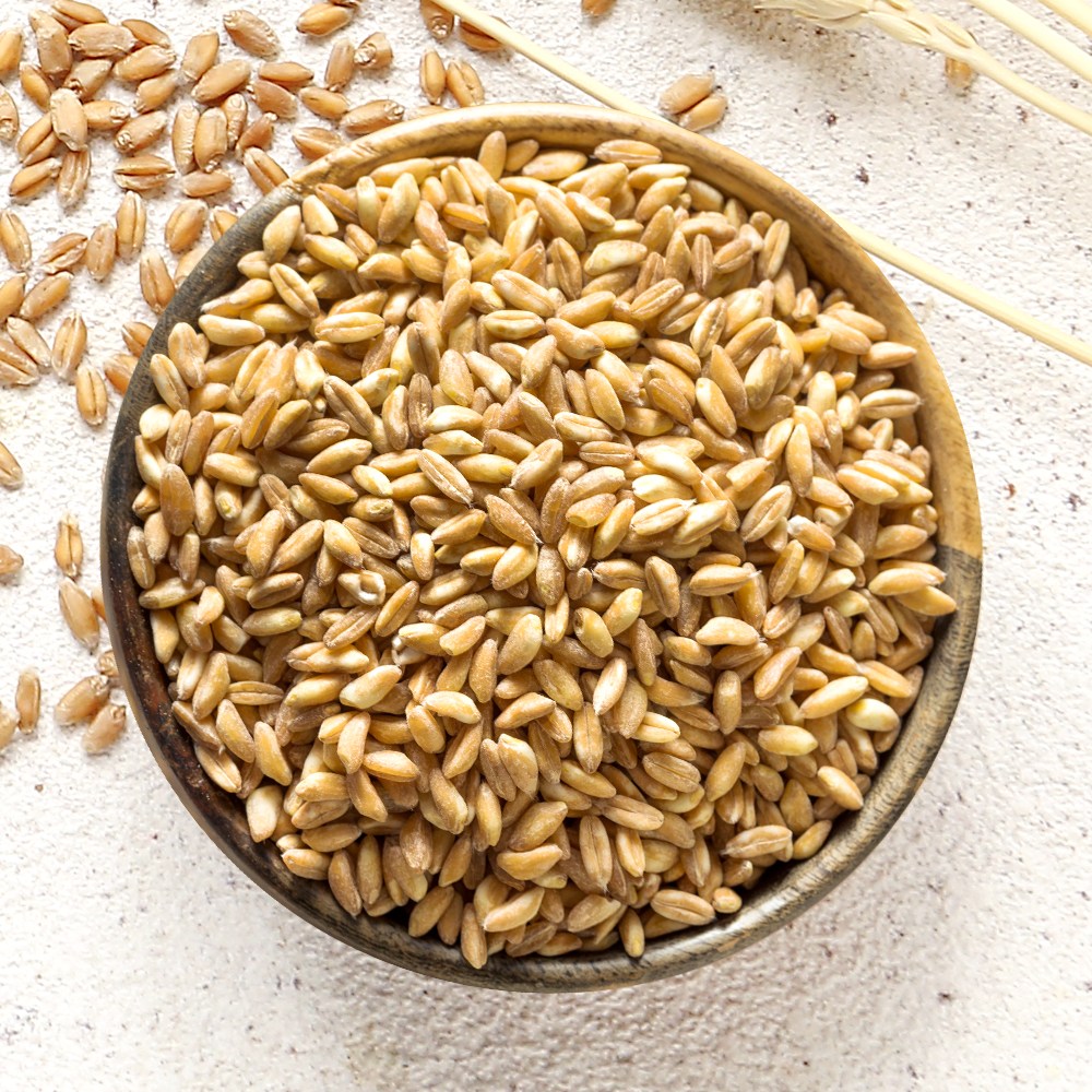 갑당약초 이탈리아 파로 곡물 파로쌀 1kg 고대곡물 엠머밀, 3개, 1kg 48,310원