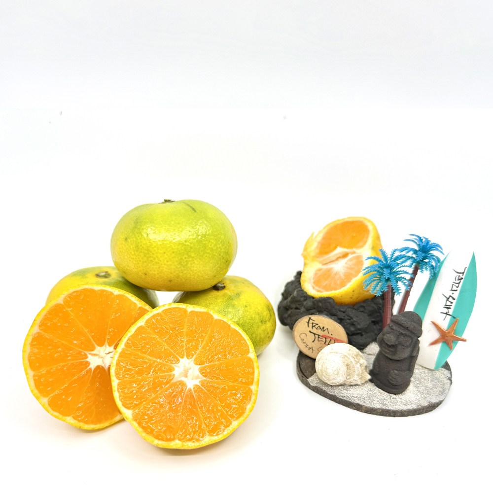 [해들애] 조생귤 상큼한한입 비타민C가득 달콤상큼 제주 타이벡감귤 비가림감귤 28,200원