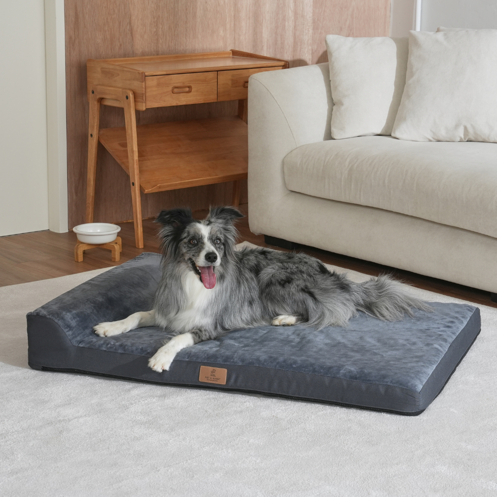 홀릭하임 대형견 슬개골보호 에그폼 목 베개 사각방석 02 L~2XL, 1개, 진그레이, 현재가 72,500원