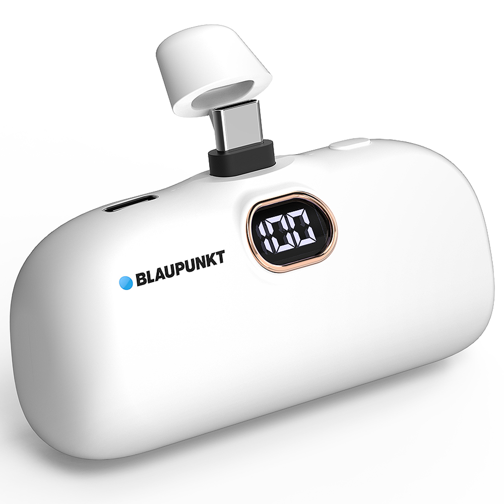 블라우풍트 5000mAh LED 보조배터리 29,900원