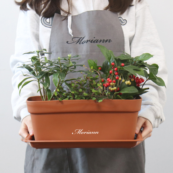 모리앤 초화 박스 3p + 화분 받침 3p 17,400원