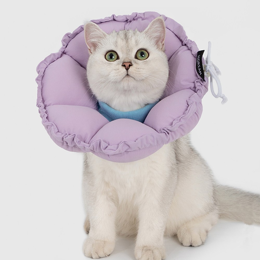모츄츄 강아지 고양이 초경량 펫 칼라 66g, 2way 플라워 베개 칼라 접이식+접이식, 수술방지 컨, 목욕후 보호대, 알러지 방지, 편안한 착용감, 1개, 토란 퍼플 36,900원