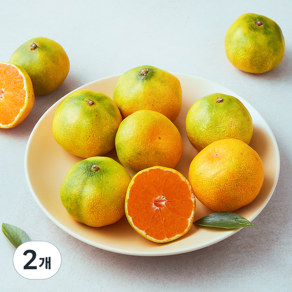 [로켓프레시] 곰곰 당도선별 11brix 한입 감귤 15,500원