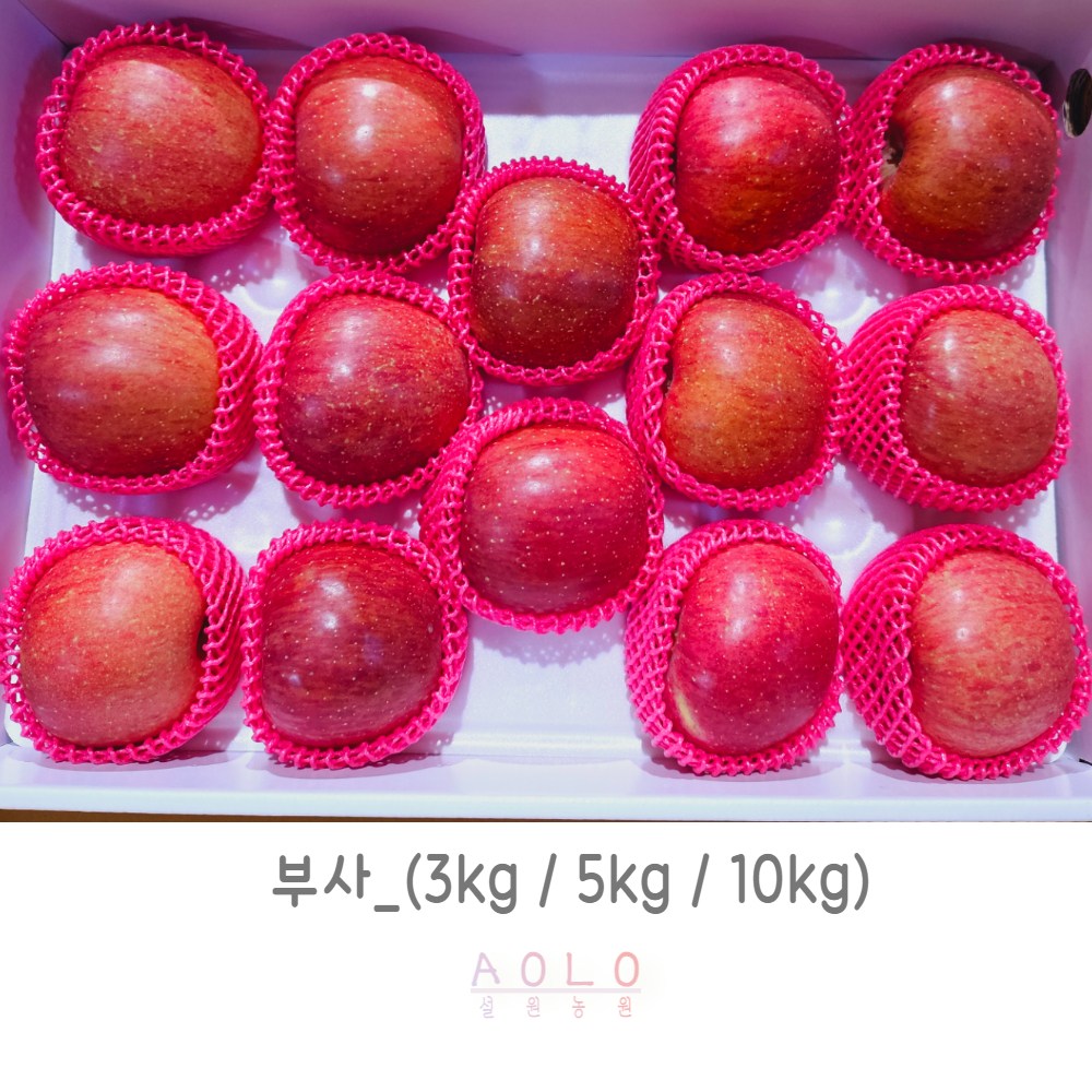 거창사과 설원농원 해발600m 직접재배  산지직송 3kg  5kg 10kg 다이어트 피부미용 부사 홍로 시나노골드 아리수 썸머킹 이지플 감로 썸머프린스 40,000원