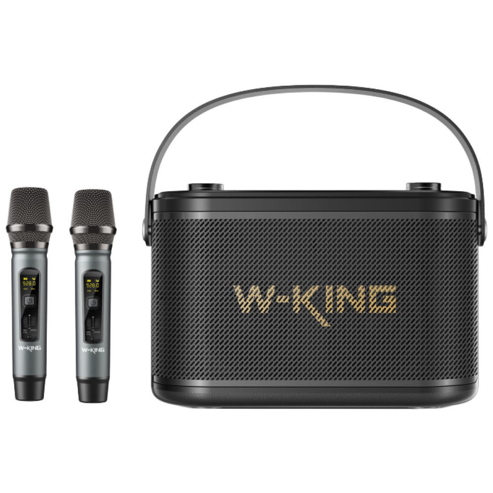 휴대 버스킹용 블루투스 스피커 악기연결가능 [더블유킹 W-KING] Camigo H10S+2대 마이크, Camigo H10S 325,000원