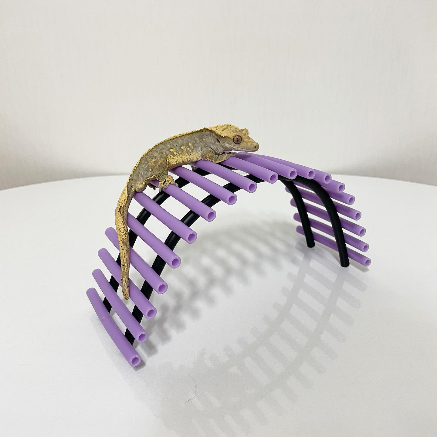 와이어 사다리 백업 구름다리 흔들다리 크레스티드게코 파충류 도마뱀 크레 사육장 꾸미기 용품 3,900원