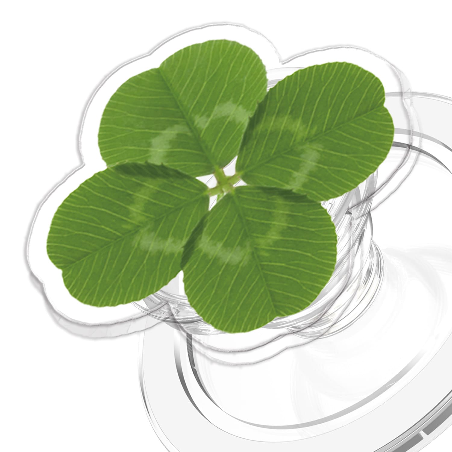 168cm 맥세이프 그립톡 클로버 13,600원