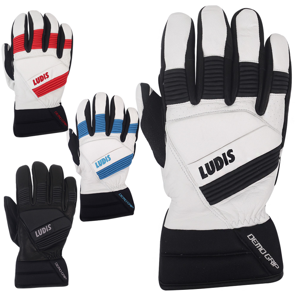 루디스 스키장갑 DEMO GRIP 22 데모그립 보드 글러브, 루디스DEMOGRIP 22, 1개 48,000원