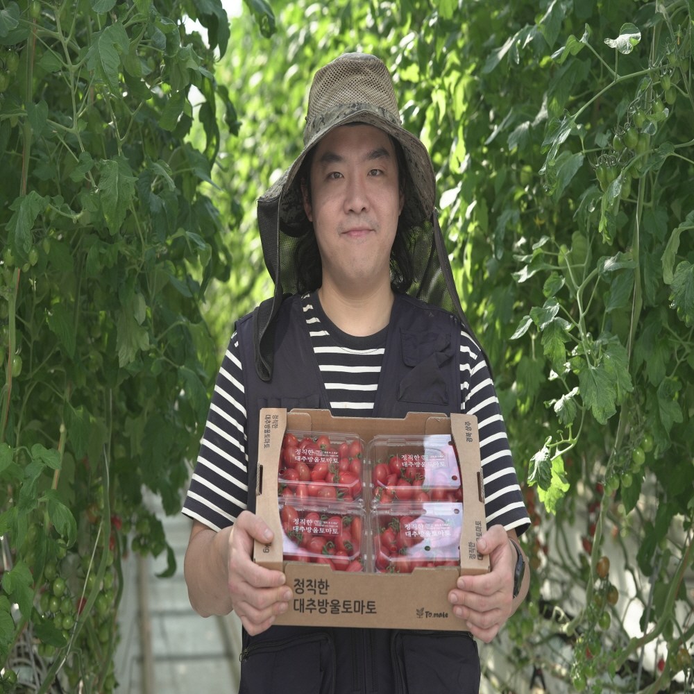 [산지직송] 대추방울토마토 스마트마토 에덴청과 3,5 kg 로얄과 스마트팜 연중생산 35,000원