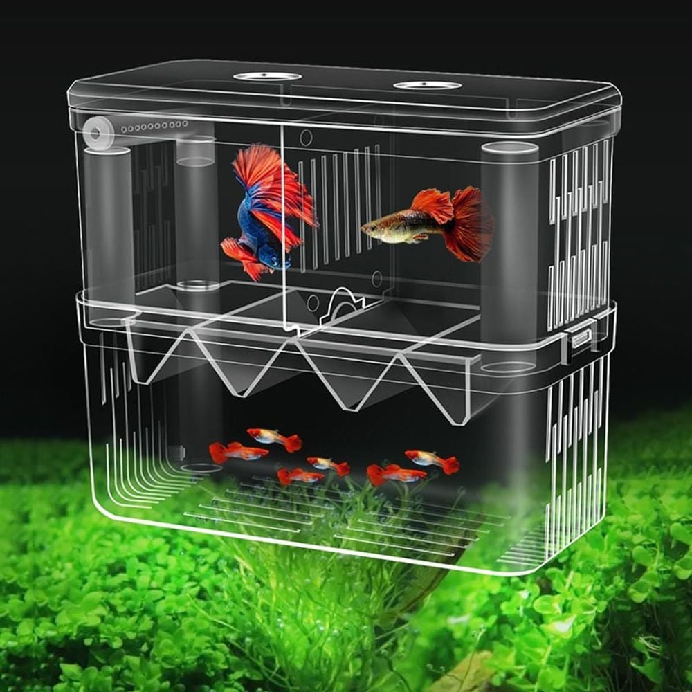 구피 열대어 부화통 번식함 격리통 치어통 대형 2칸big9+9gnW 8,410원