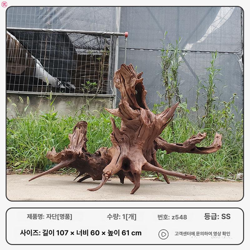 어항 수족관 성형유목 장식품 관상어 해수어 식물 수생 475,600원