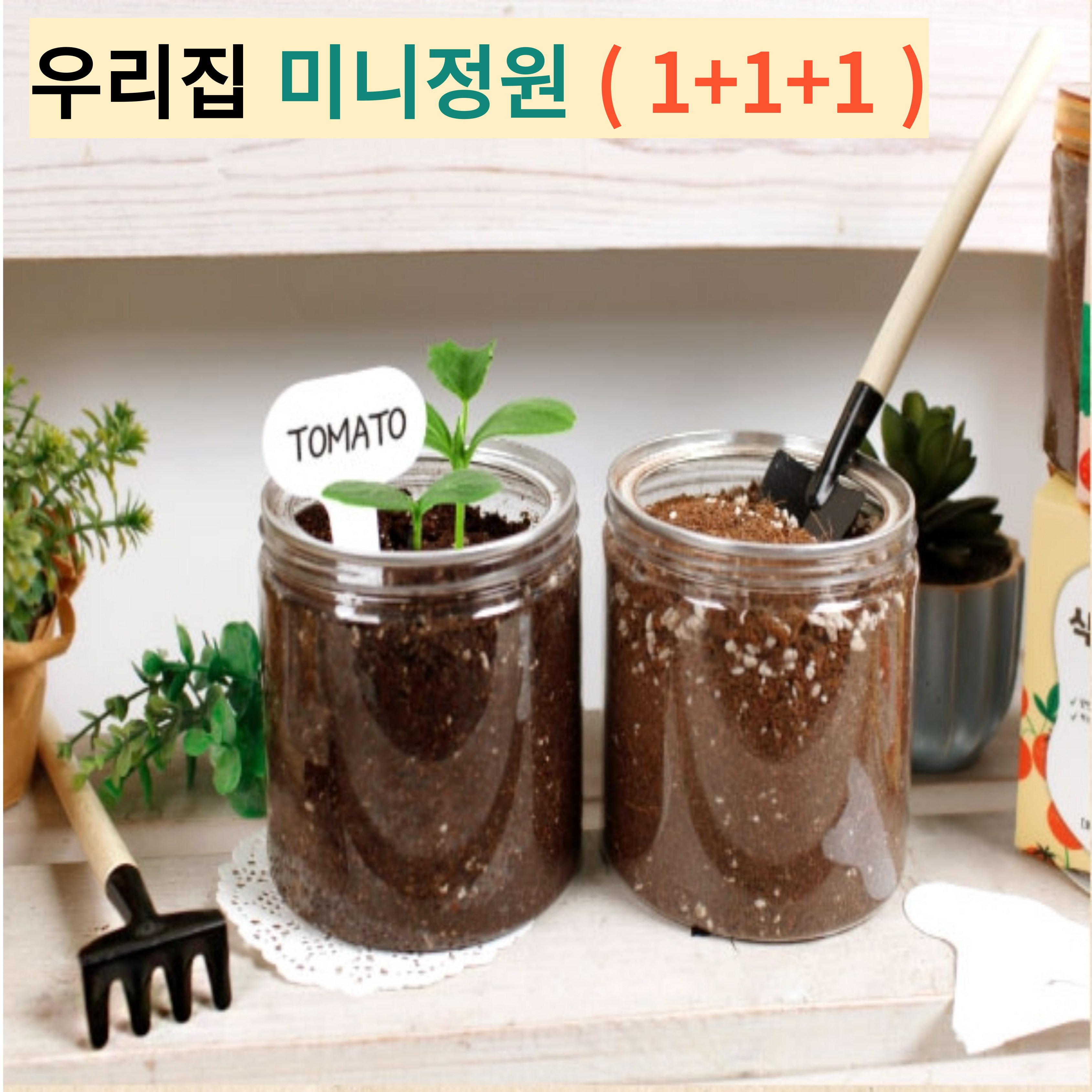 [도대채] 식물재배키트 11종  2+1 ( 우리집 작은정원 ) 19,000원