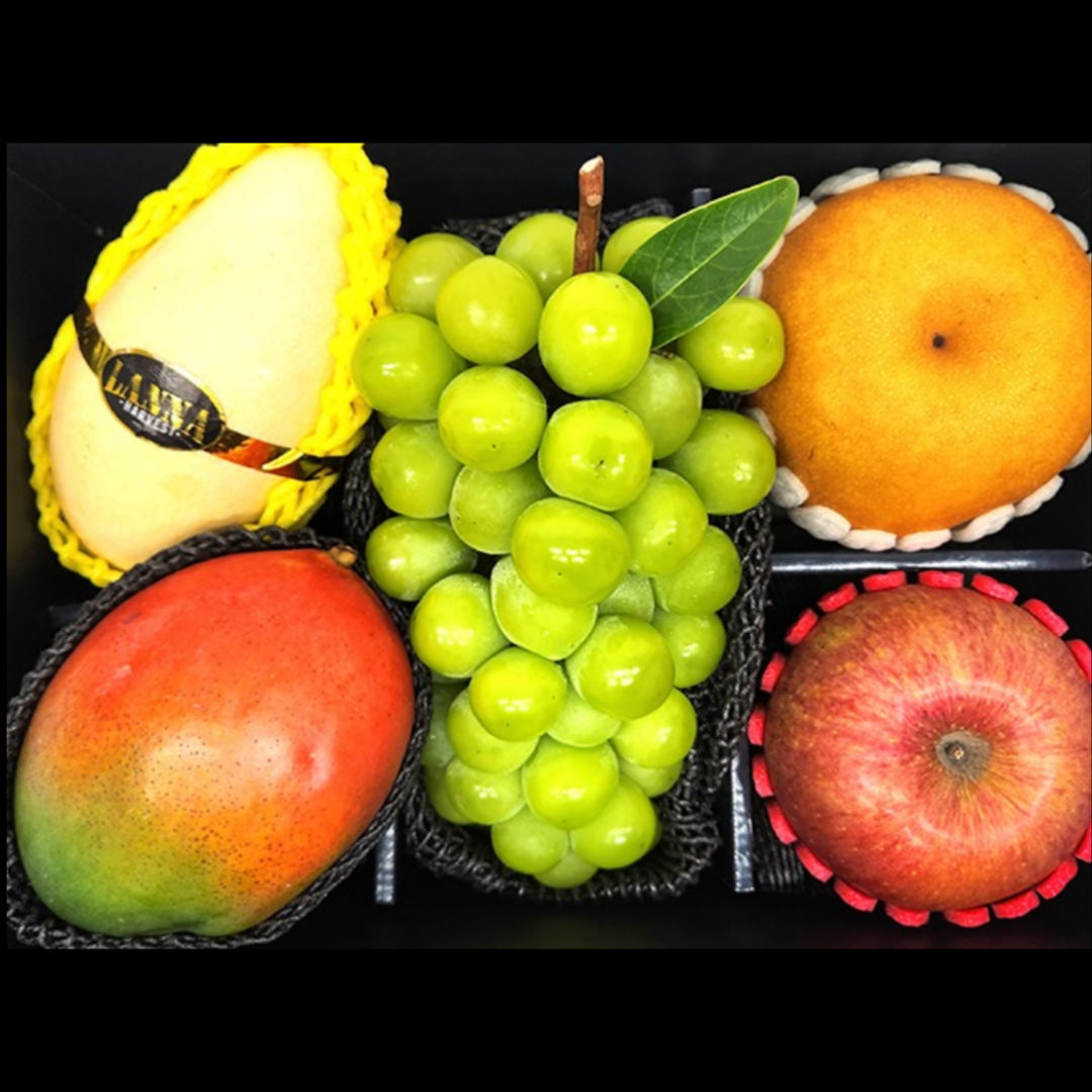 참새마켓 명절선물세트 명품과일세트, 1개, 세트2 애플망고 샤인머스켓 골드망고 74,600원