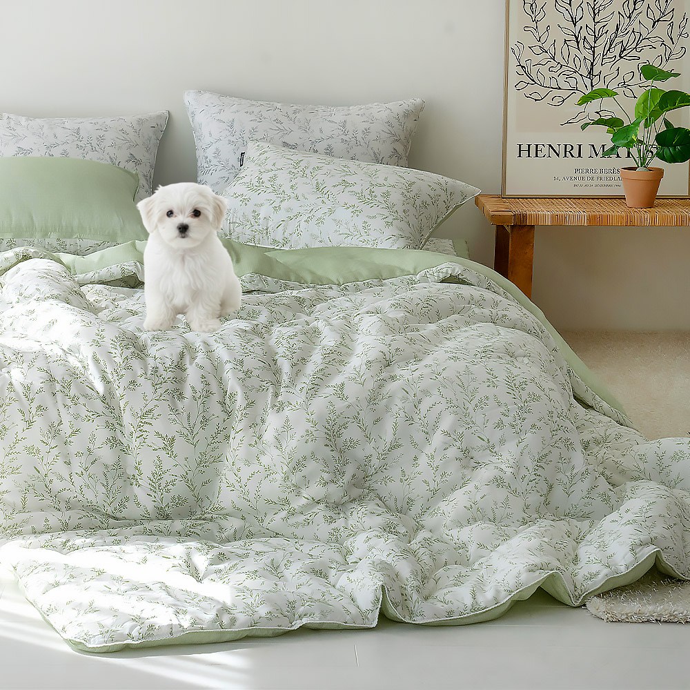 실크로드 텐셀 모달 알러지케어 차렵이불 세트 212,000원