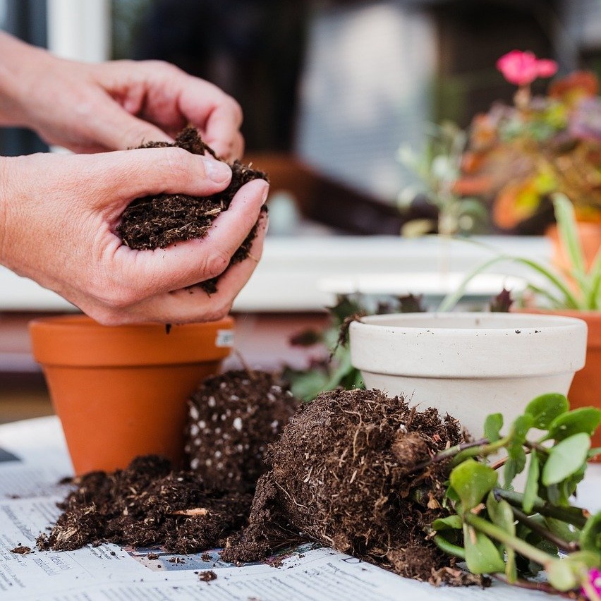 화분 분갈이흙 다육이 선인장 몬스테라 배양토 배합토 상토 9,000원