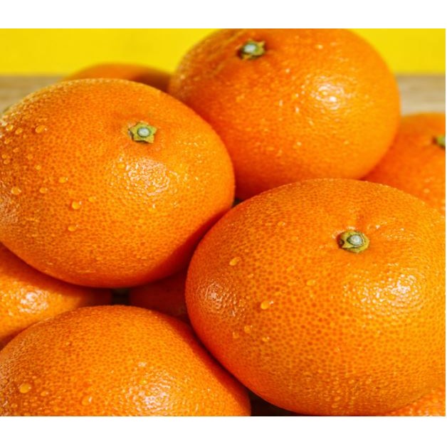 [한정특가] 재구매율1위 꿀달달 제주천혜향 27,900원