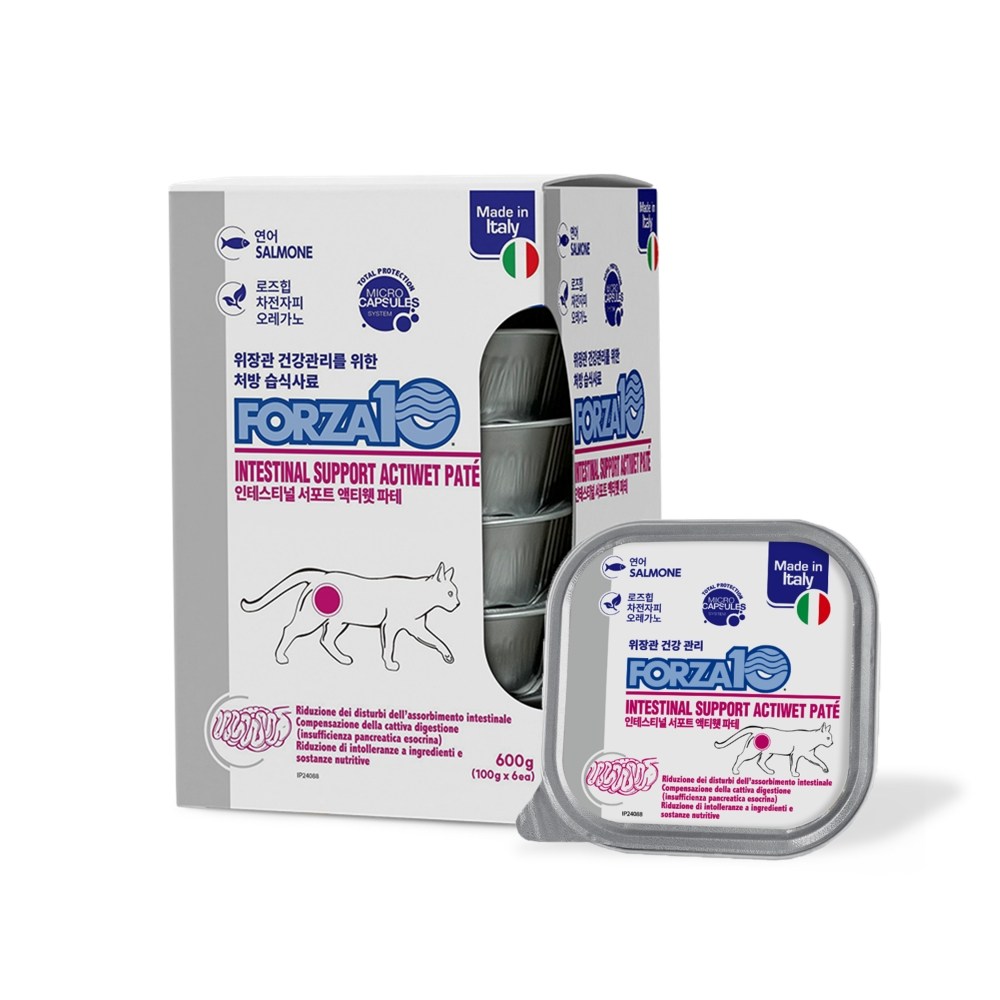 포르자10 캣 인테스티널 주식캔 6입, 3개, 600g, 연어 54,000원