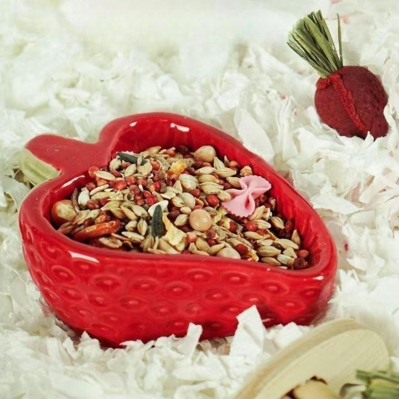 피그미 다람쥐 햄스터 소동물 고급 세라믹 급식기, 1개, 레드 18,500원