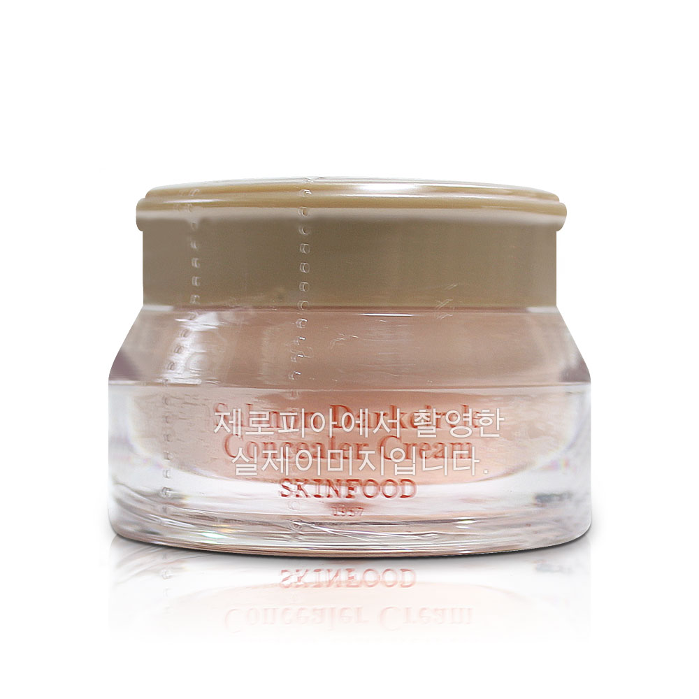 스킨푸드 연어 다크서클 컨실러 크림 10g 0호 살몬라이트 피부결점커버 7,700원