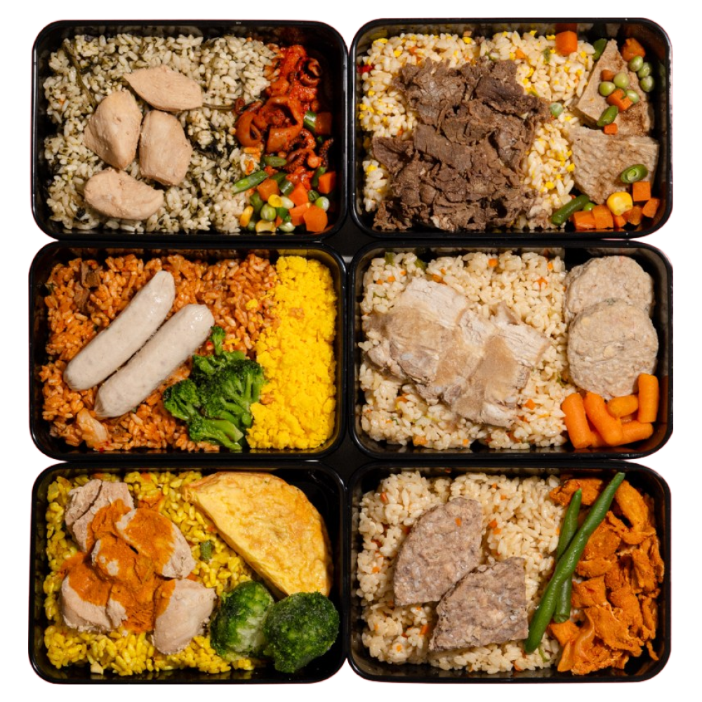 샐그램 단백식사 단백질도시락 닭가슴살 김치볶음밥 낚지볶음 헬스 운동식단 6종, 269g, 6개 39,770원