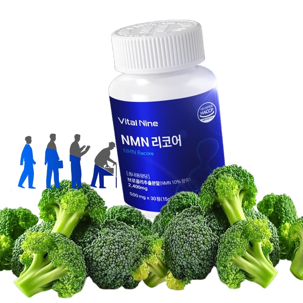 고순도 NMN 엔엠엔 정 보로콜리 추출분말 식물유래 NAD 니코틴산아미드 엔엠엔 28,000원