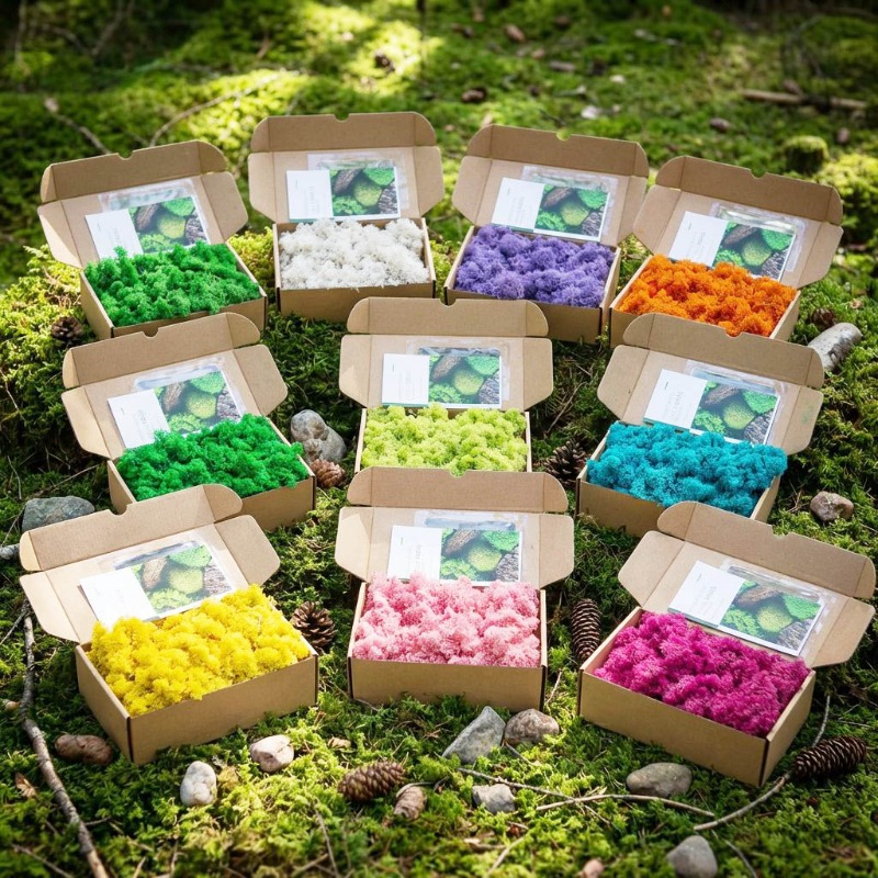 키득키득 스텔라 모스이끼 200g 8,000원