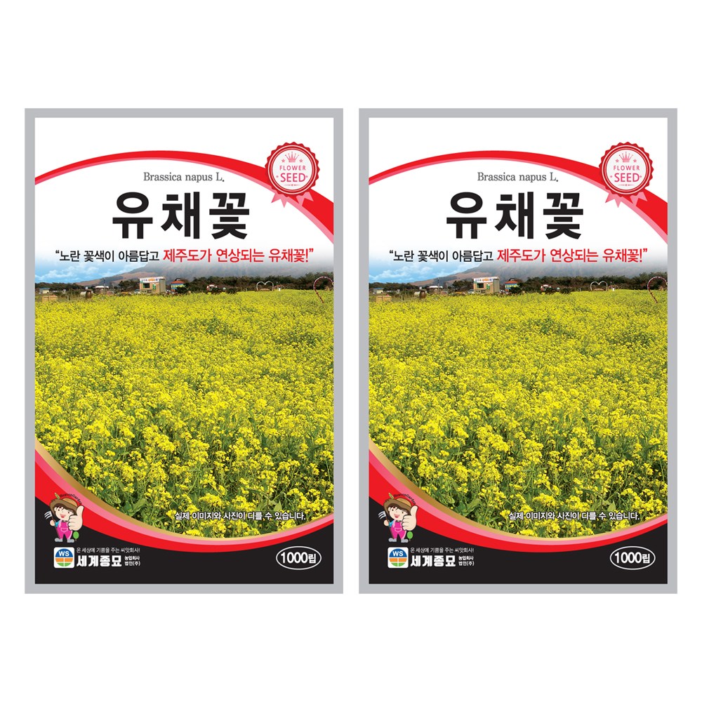 유채꽃 씨앗 꽃씨 1000립 꽃씨앗 세계종묘 모칸도 5,990원