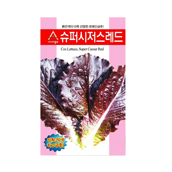 솔림텃밭몰 적로메인상추씨앗 슈퍼시저스레드 1000립 로메인상추 17,500원