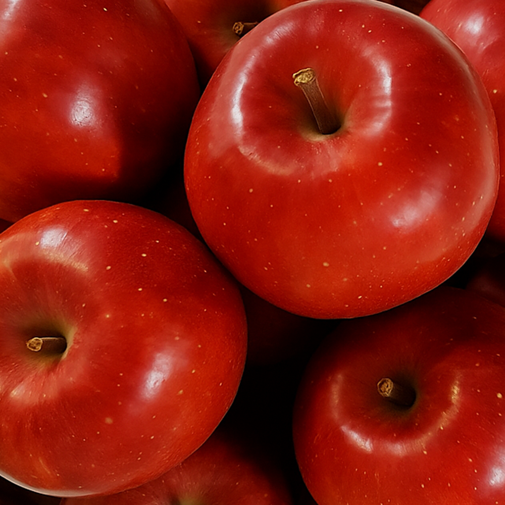 [선착순 할인] 청송 안동 못난이 쥬스용 랜덤 햇 부사 15,880원