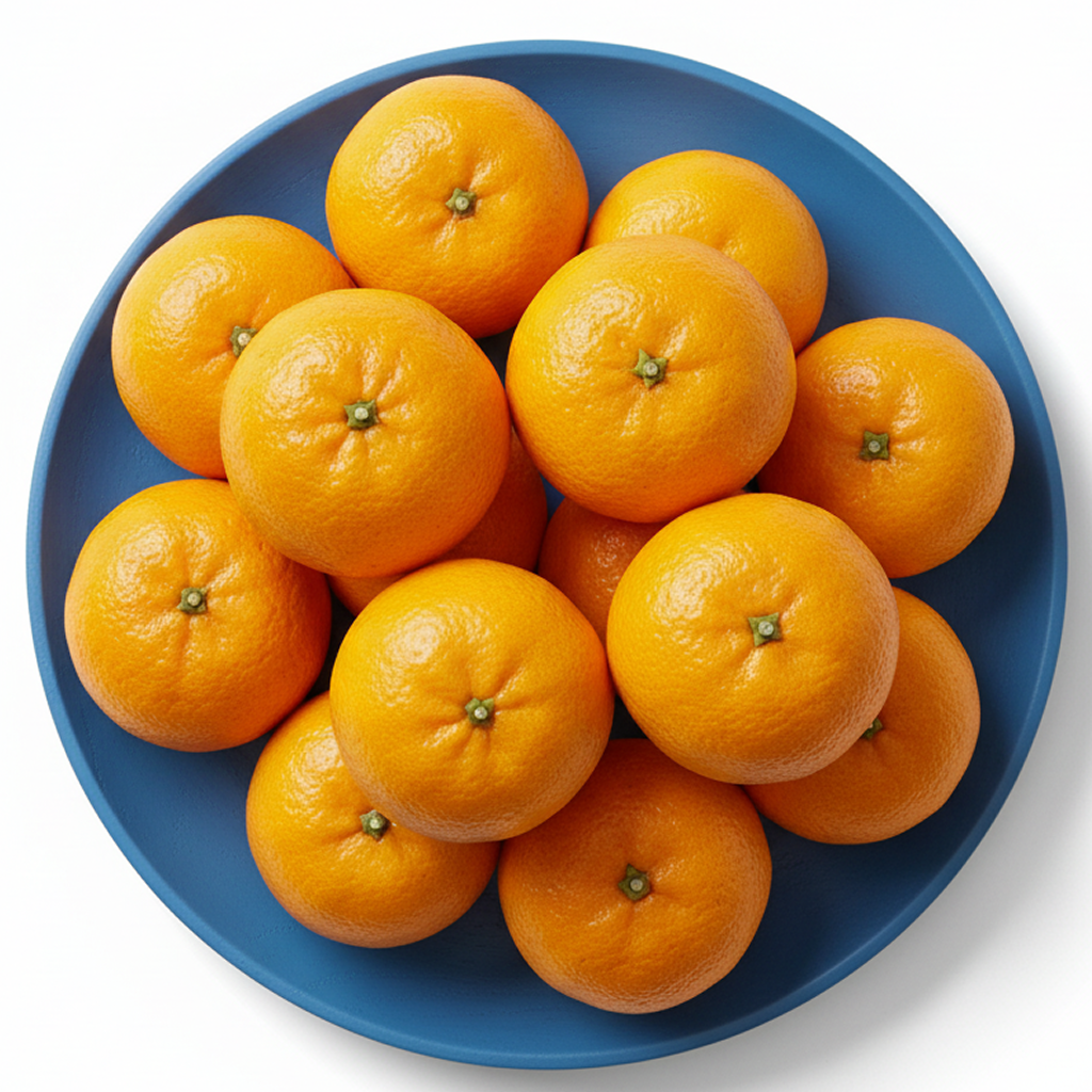 [제주한경면] 카라향 고당도 산지직송 초특가 10,900원