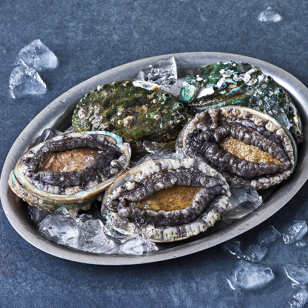 [로켓프레시] 완도맘 활전복 (냉장), 현재가 20,190원