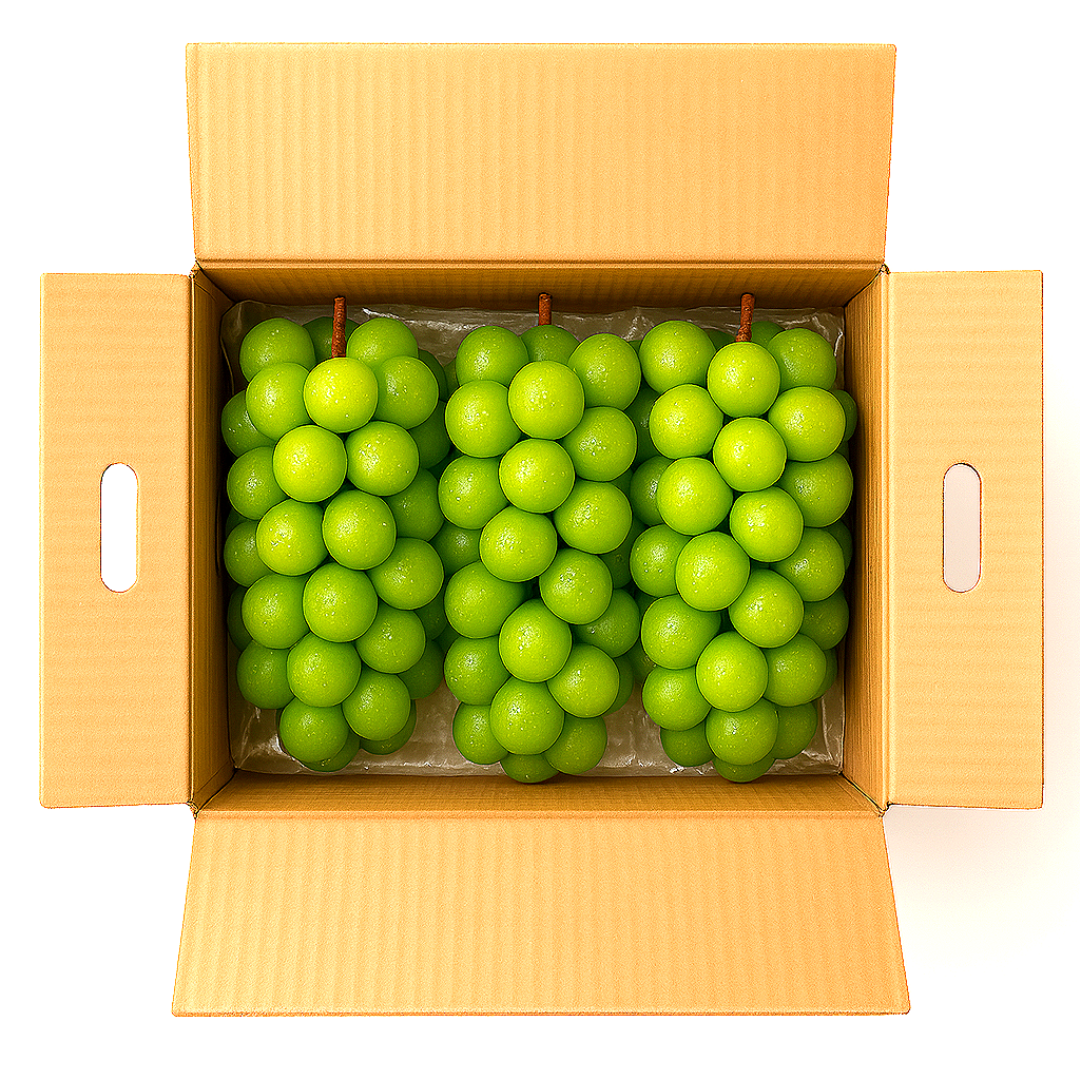 [타임특가] 역수출용 샤인머스켓 고당도 산지직배송 39,900원