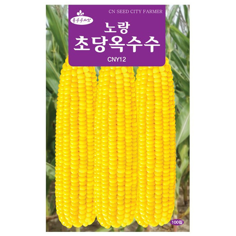 노랑초당옥수수 100립 5,800원