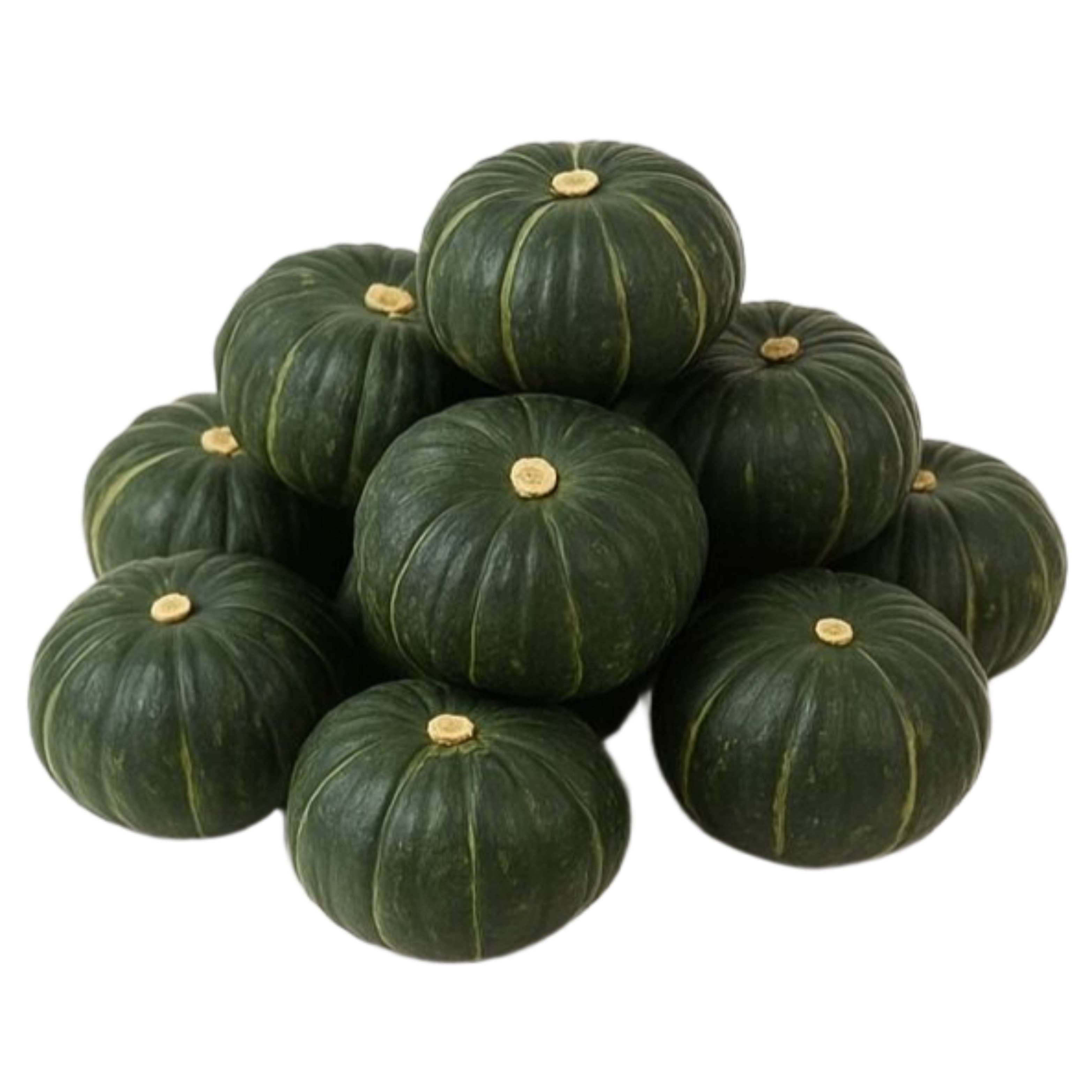 맛통령 제주 미니 단호박 맛있는 밤호박(보우짱) 41,970원