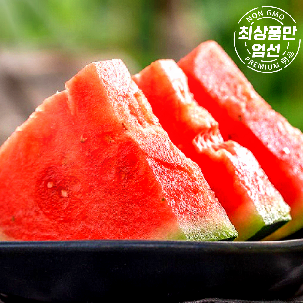 겨울 과일판을 뒤집다 솔이네 하우스 꿀수박, 1개, 5~6kg 42,400원