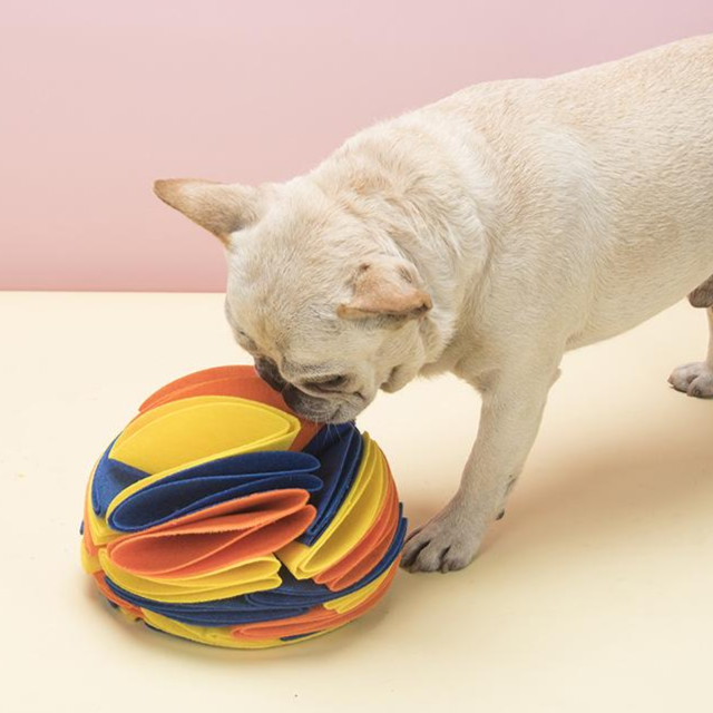 강아지 간식 퍼즐 장난감 노즈워크 두뇌 발달 스트레스 완화용, 1개, 블루+옐로우+오렌지 7,650원