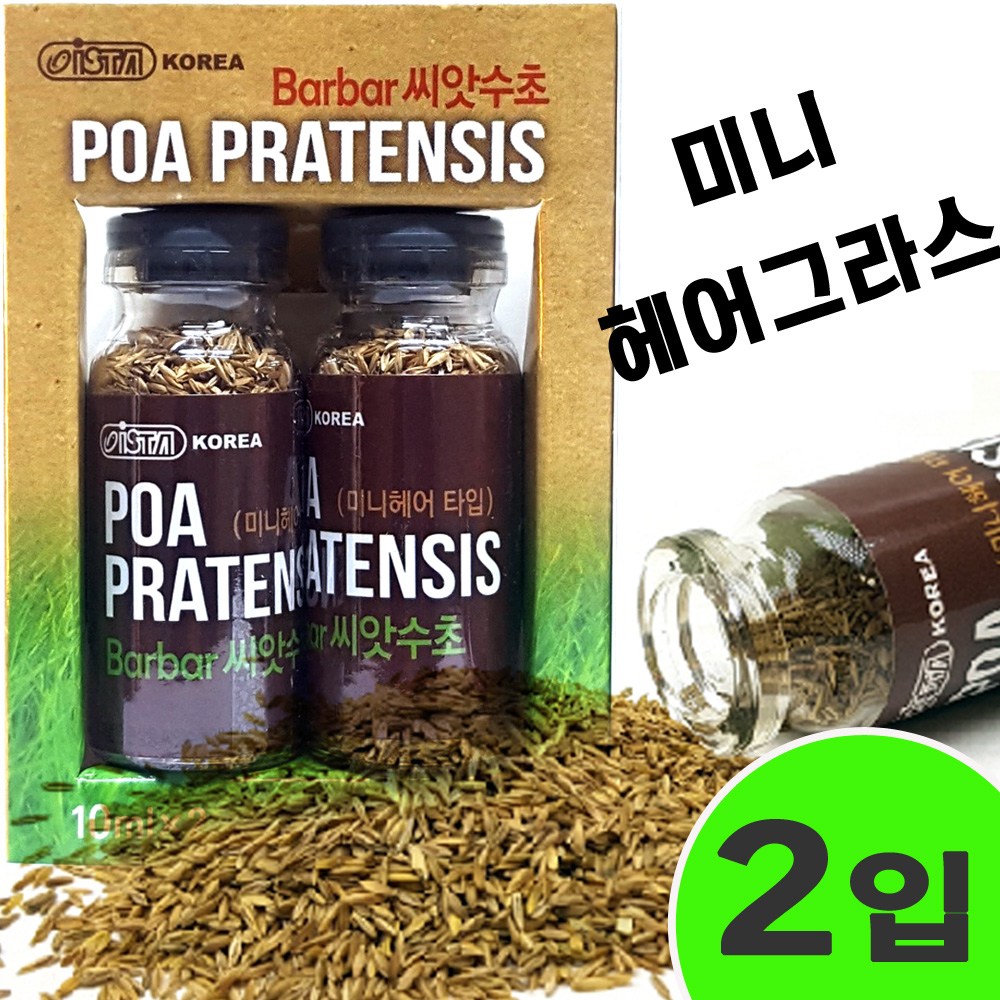 이스타 씨앗수초 미니헤어 M 2입 (전경용)/수족관 어항 수조 초보 수초기르기 소일 ADA 장식품 꾸미기 세팅 13,170원