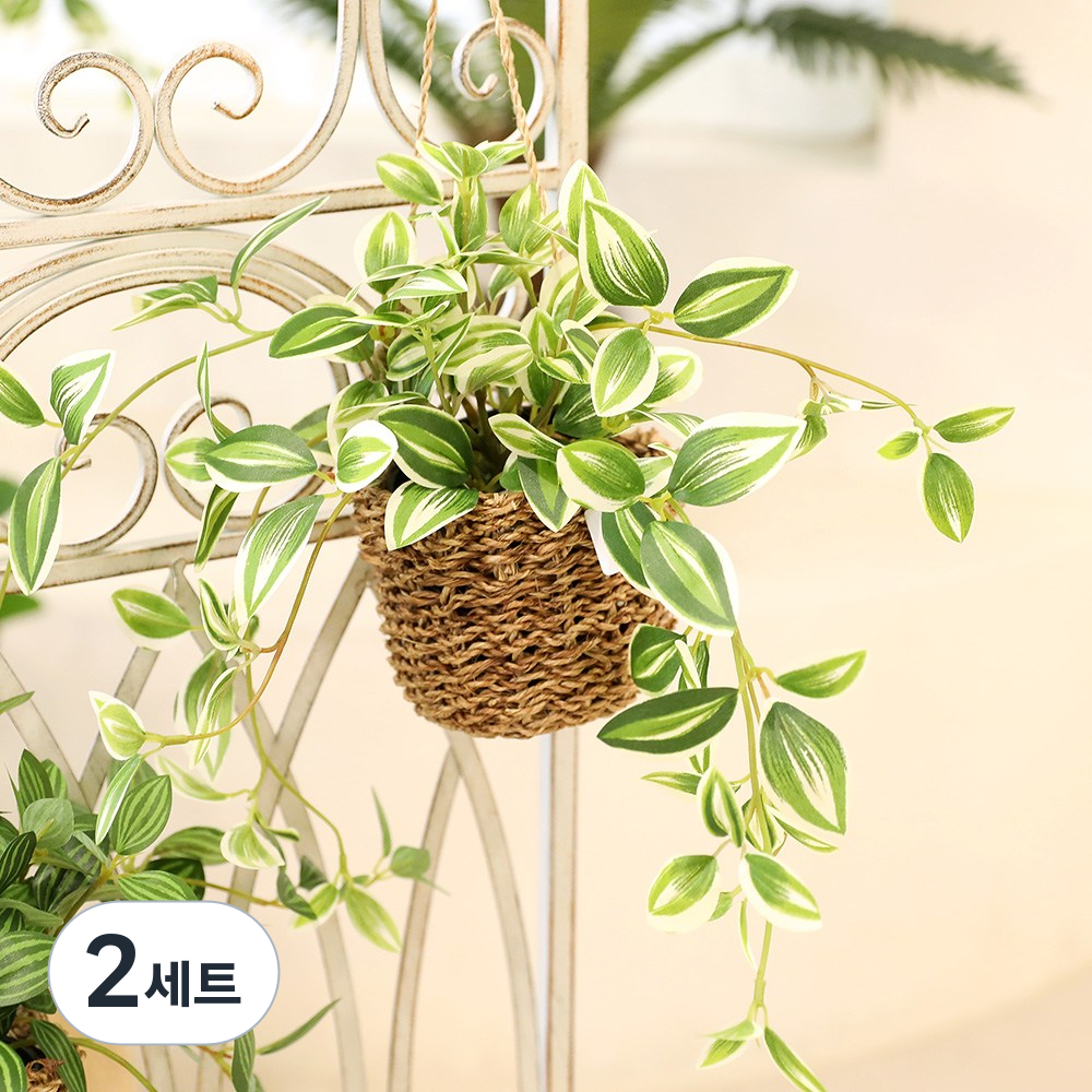 1+1 인테리어 조화 행잉플랜트 벽장식 가랜드 뉴행잉넝쿨화분바구니세트, 2세트, 달개비 43,590원