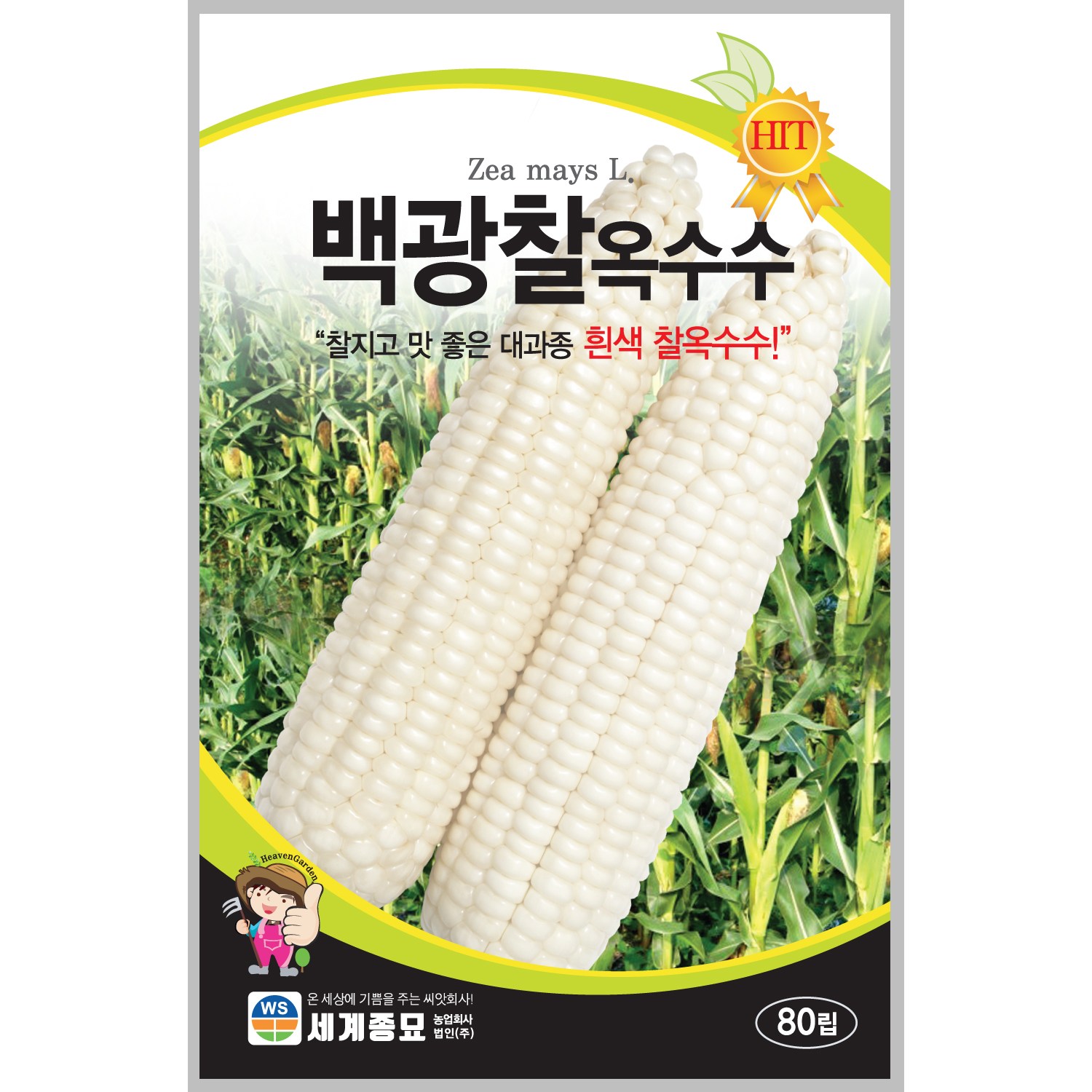 세계종묘 백광찰옥수수 씨앗 80립, 1개 8,490원