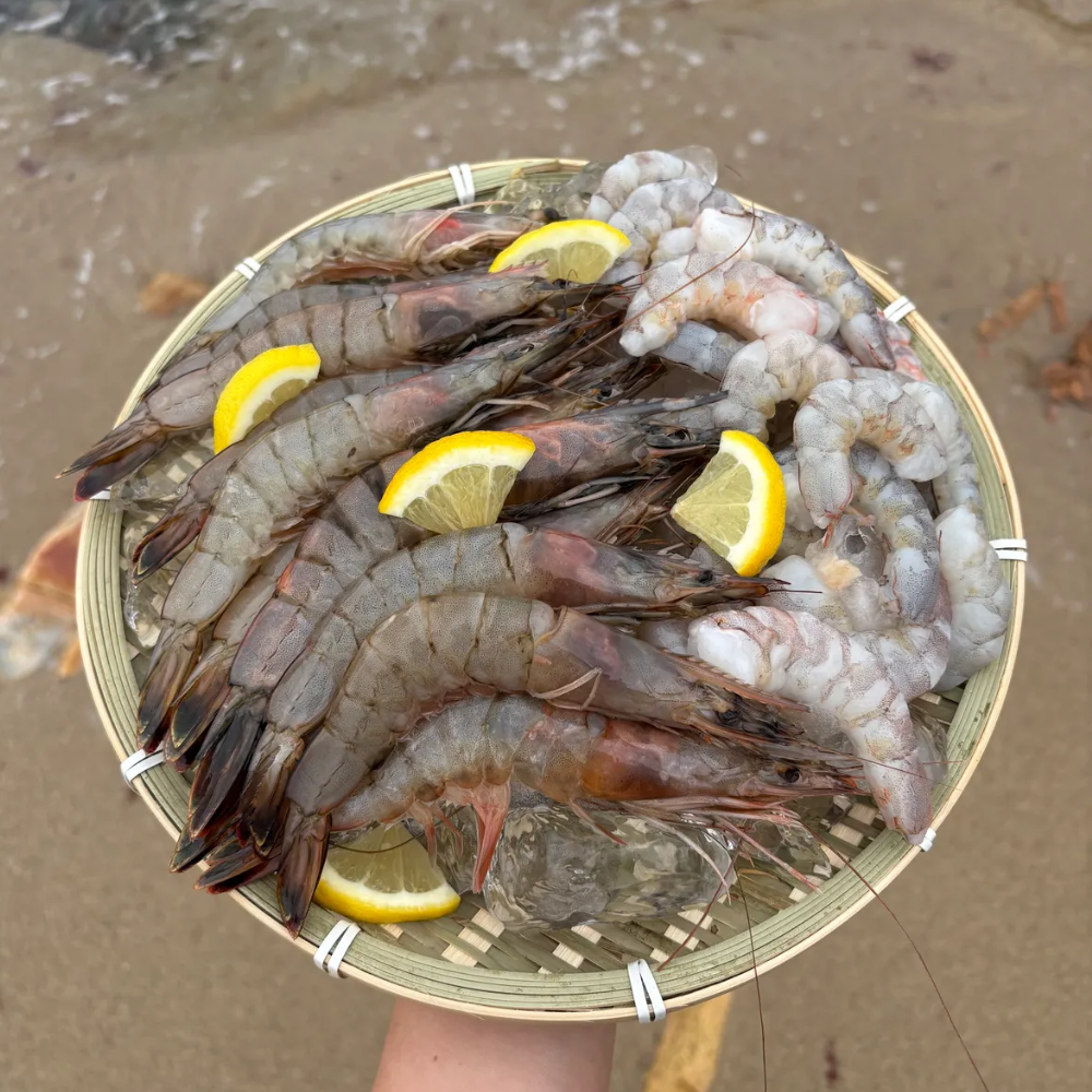 [하루50박스] 국내산 왕뚱땡이 새우 27미내외 흰다리새우, 1박스, 1kg, 현재가 39,900원